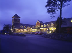 T&iacute; Pheacock
