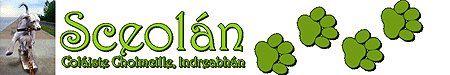 Sceolan